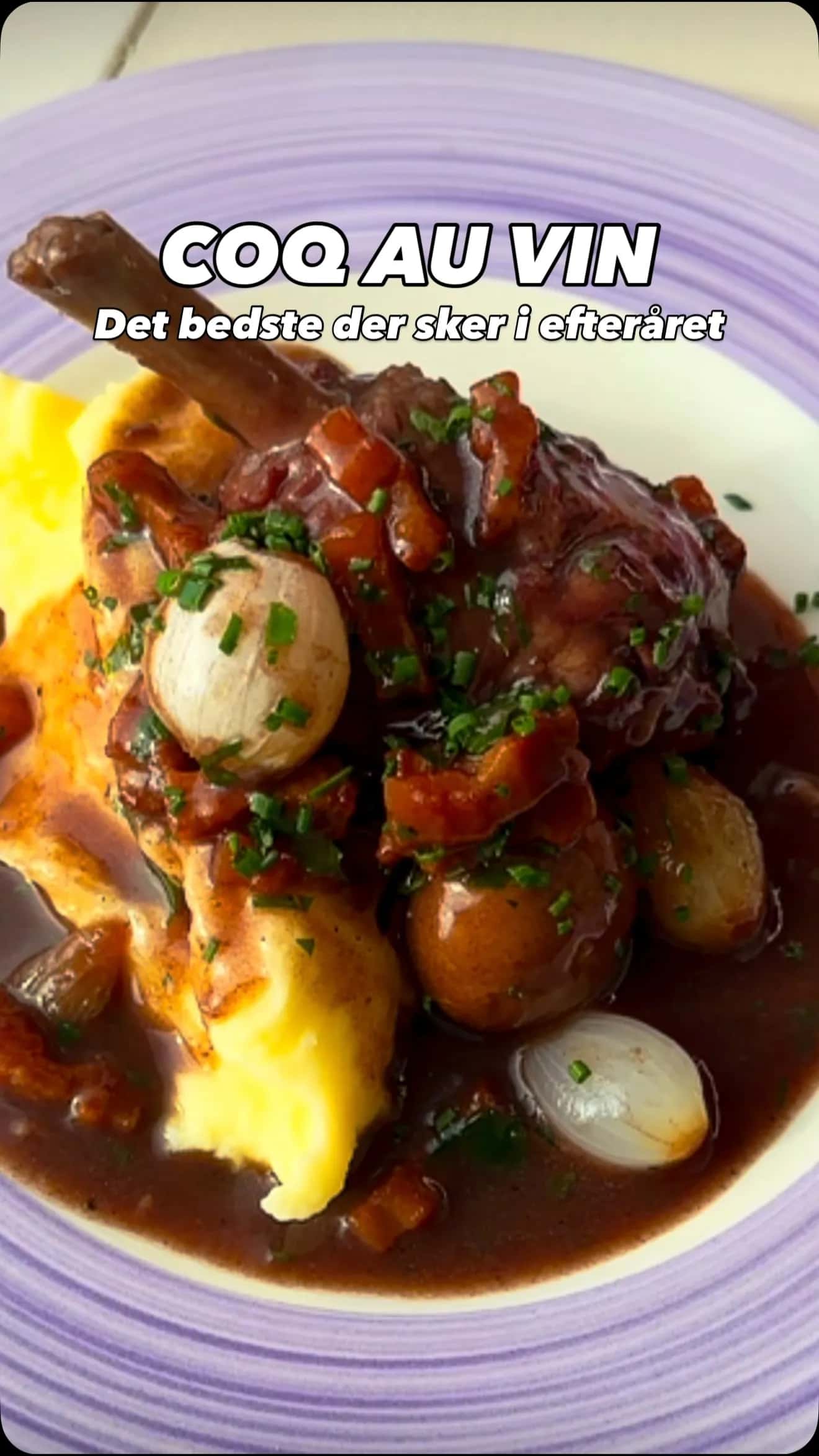 Coq au vin: Fransk klassiker med kylling, rødvin og masser af tålmodighed