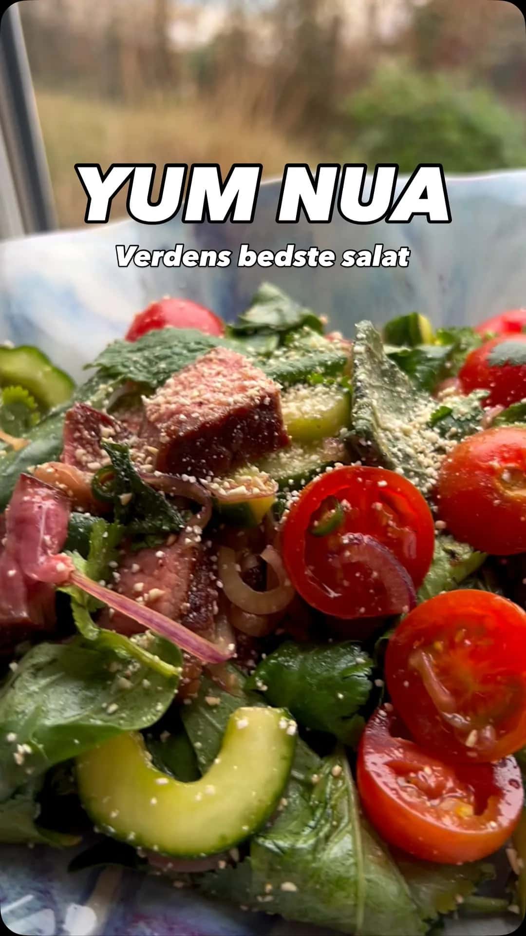 Yum Nua - thai beef salad der sparker
