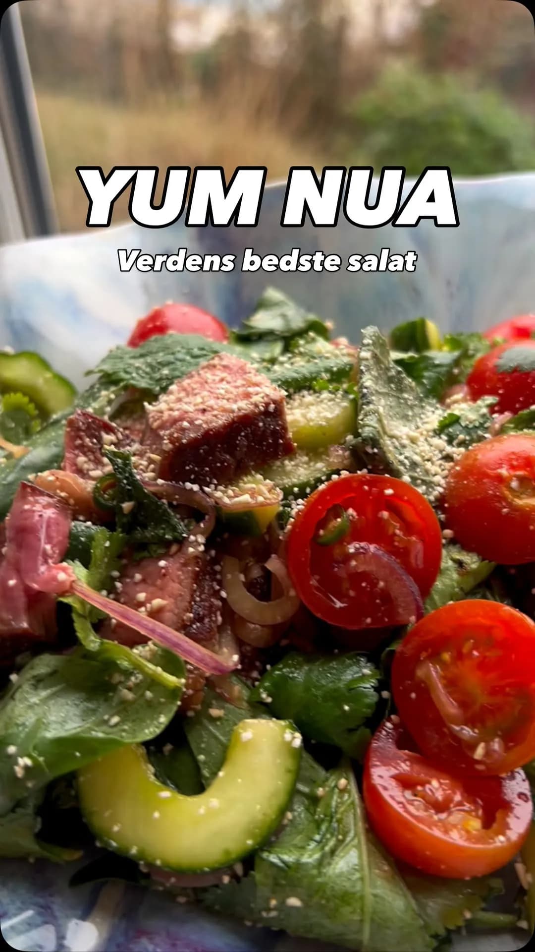 Yum Nua - thai beef salad der sparker