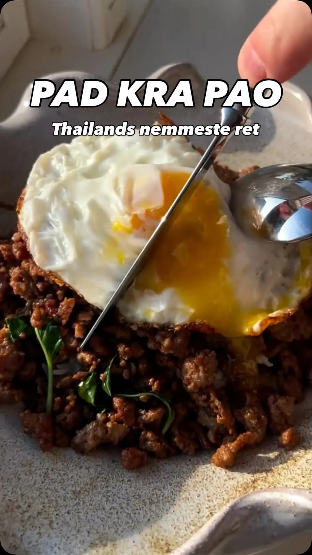 Pad Kra Pao - Thailands nemmeste (og måske bedste) gaderet