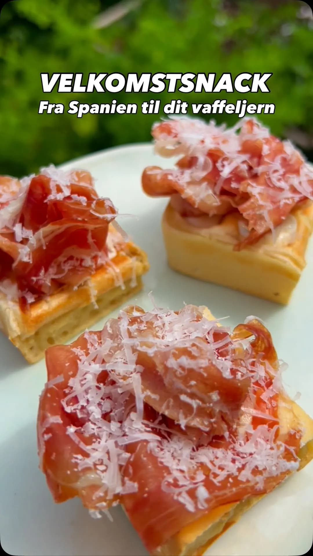 Sprøde vafler med manchegocreme og ibérico