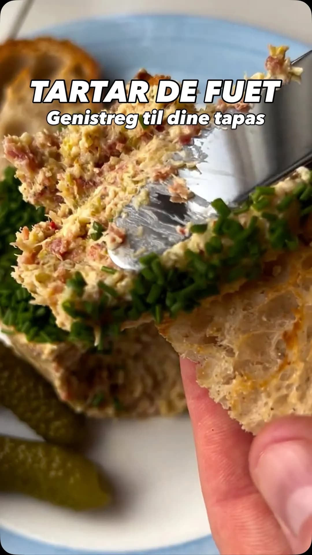 Tatar de Fuet - den blendede tapas-bombe